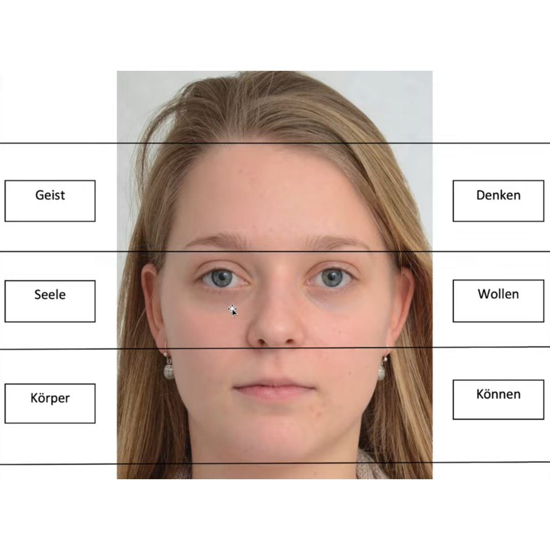 Dreiteilung Gesicht
