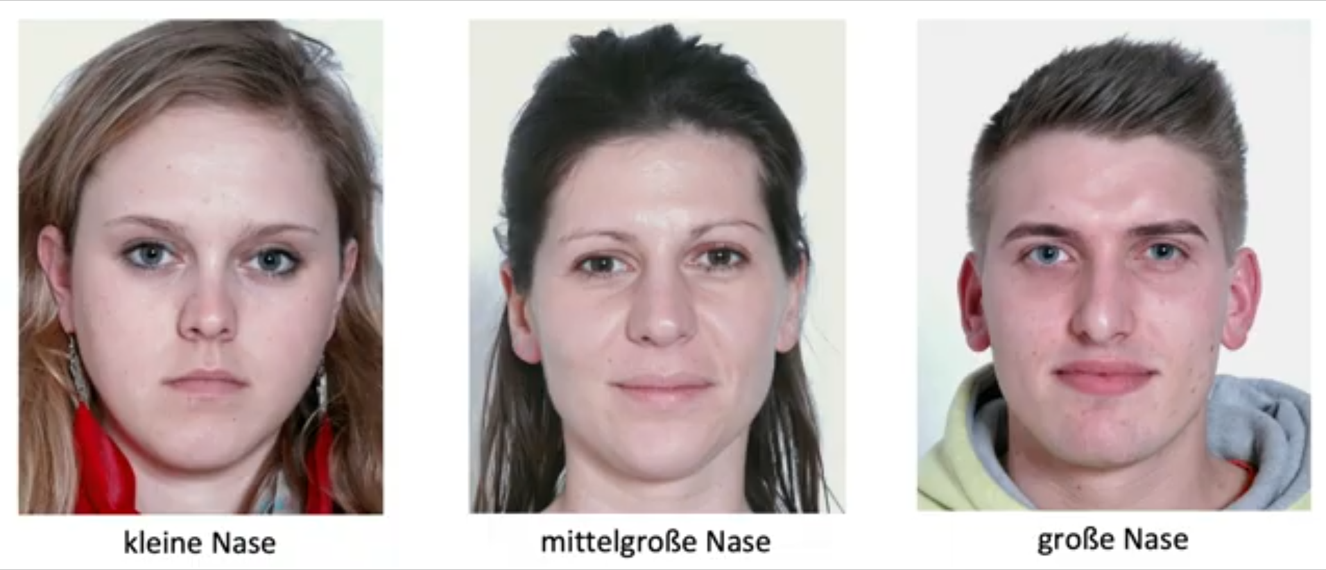 Groesse der Nase
